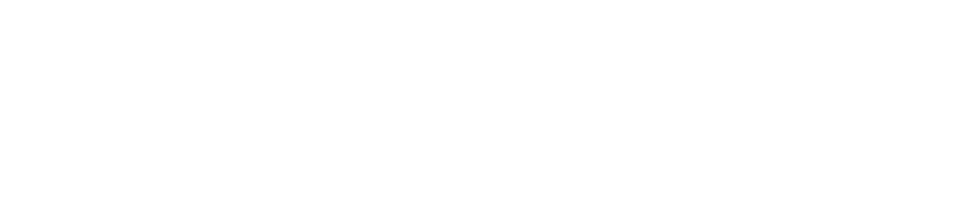 Palasino Group a.s.